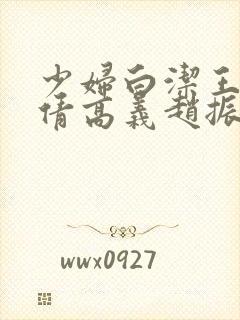 少妇白洁王申孙倩高义赵振