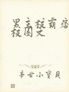 男主校霸痞帅的校园文