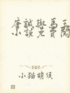 唐诚与马玉婷的小说免费阅读