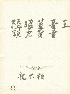 陆昭菱晋王的小说免费看