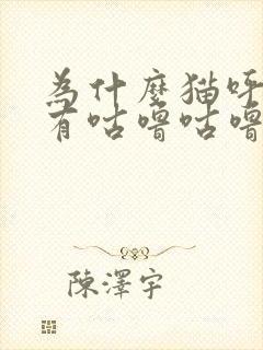 为什么猫呼吸会有咕噜咕噜的声音