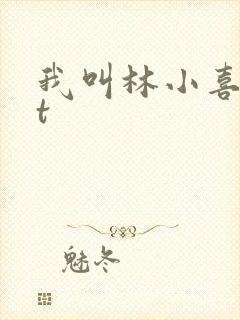 我叫林小喜txt封面