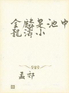 金麟是池中物侯龙涛小封面