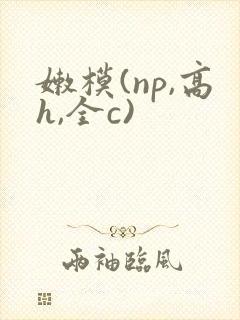 嫩模(np,高h,全c)