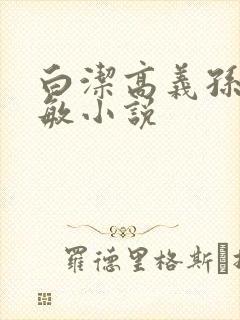 白洁高义孙倩张敏小说