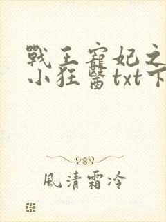 战王宠妃之倾世小狂医txt下载
