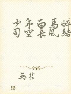 少年白马醉春风司空长风结局