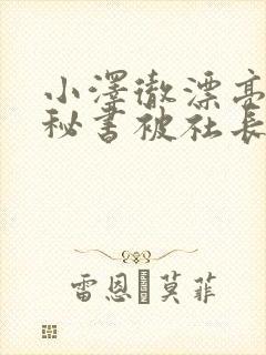 小泽彻漂亮人妻秘书被社长侵犯