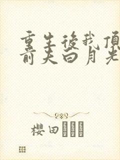 重生后我顶替了前夫白月光原著作者