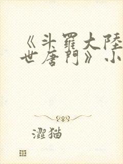 《斗罗大陆2绝世唐门》小说