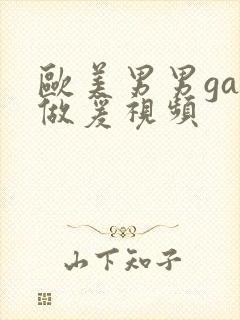 欧美男男gay做爰视频