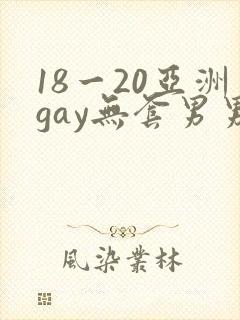 18一20亚洲gay无套男男