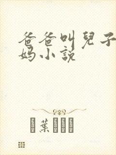 爸爸叫儿子日妈妈小说封面