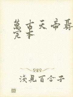 万古天帝聂天 完本