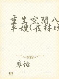 重生空间八零小军嫂(夜林晚)