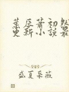 叶辰萧初然最快更新小说最新封面