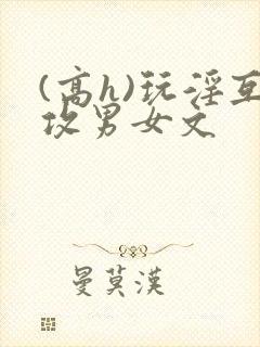 (高h)玩淫互攻男女文