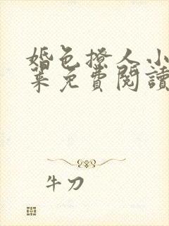 婚色撩人小说君莱免费阅读全文