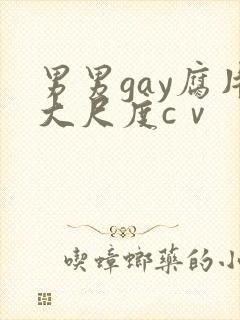 男男gay腐片大尺度cⅴ