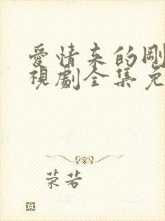 爱情来的刚好电视剧全集免费观看封面