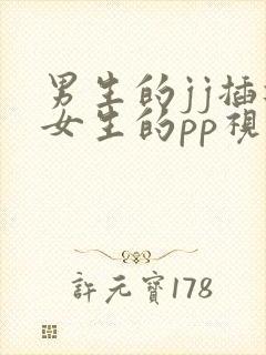 男生的jj插进女生的pp视频