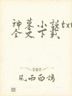 神墓小说txt全文下载封面