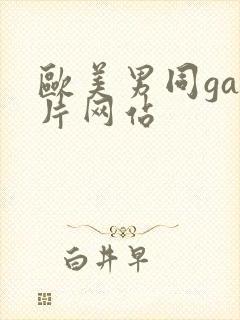 欧美男同gay片网站