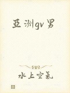 亚洲gv男
