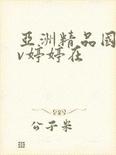 亚洲精品国产av婷婷在