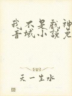 我不是戏神三九音域小说免费下载封面