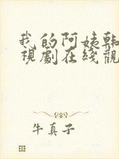 我的阿姨韩剧电视剧在线观看免费版