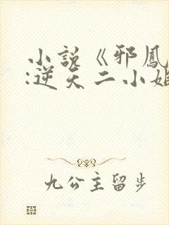 小说《邪凤重生:逆天二小姐》封面