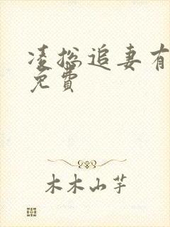 凌总追妻有点甜免费封面