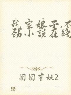 我家娘子,不对劲小说在线免费阅读