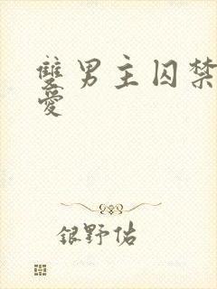 双男主囚禁强制爱