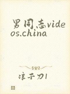 男同志videos.china