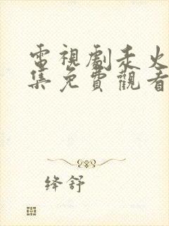 电视剧走火40集免费观看