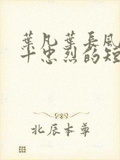 叶凡叶长风一门十忠烈的短剧封面