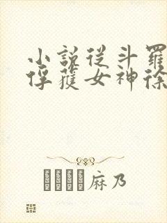 小说从斗罗开始俘获女神徐然/朱竹清全篇