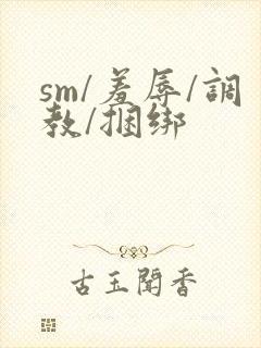 sm/羞辱/调教/捆绑