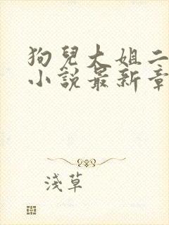 狗儿大姐二姐娘小说最新章节封面