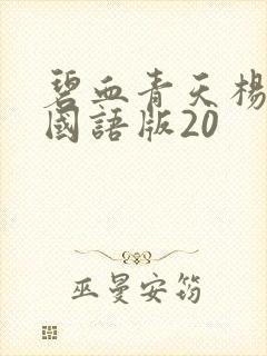 碧血青天杨家将国语版20封面