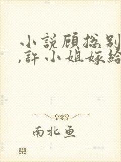 小说顾总别虐了,许小姐嫁给你哥了