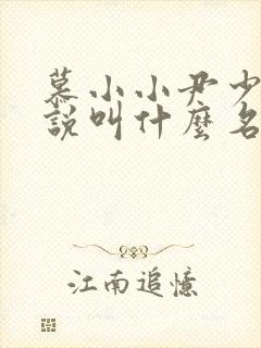 慕小小尹少桀小说叫什么名字