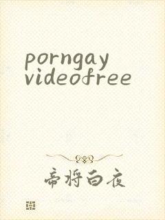porngayvideofree封面