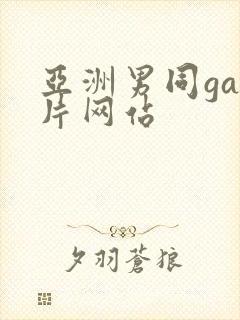 亚洲男同gay片网站