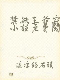 禁欲王爷宠上瘾小说免费阅读