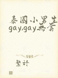 泰国小男生同性gay,gay无套