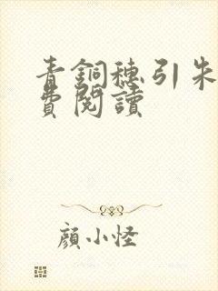 青铜穗引朱鸾免费阅读封面