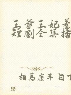 王爷王妃惹不得短剧全集播放